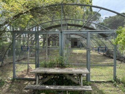 RARE OPPORTUNITÉ – Volière professionnelle 250 m² – Arceaux Richel – ferme pédagogique / parc animalier/ élevage avicole