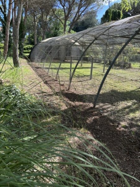 RARE OPPORTUNITÉ – Volière professionnelle 250 m² – Arceaux Richel – ferme pédagogique / parc animalier/ élevage avicole